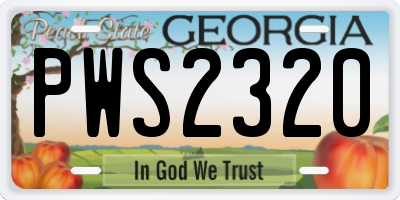 GA license plate PWS2320