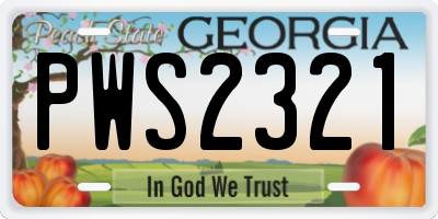 GA license plate PWS2321