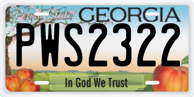 GA license plate PWS2322