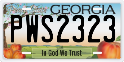 GA license plate PWS2323