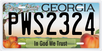 GA license plate PWS2324