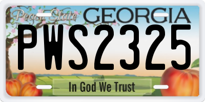 GA license plate PWS2325