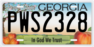 GA license plate PWS2328