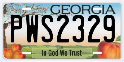GA license plate PWS2329