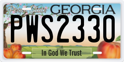 GA license plate PWS2330