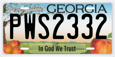 GA license plate PWS2332