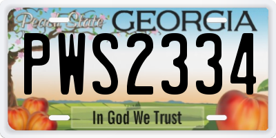 GA license plate PWS2334