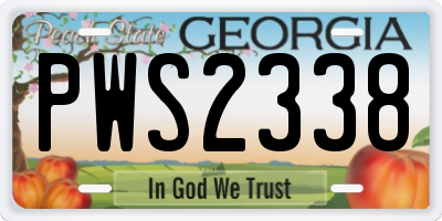 GA license plate PWS2338