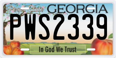 GA license plate PWS2339