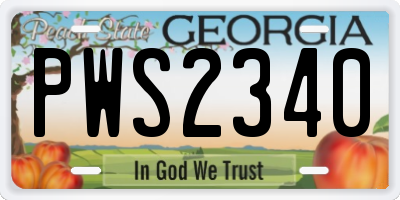 GA license plate PWS2340