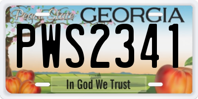 GA license plate PWS2341