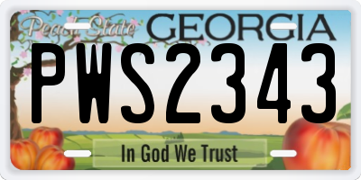 GA license plate PWS2343