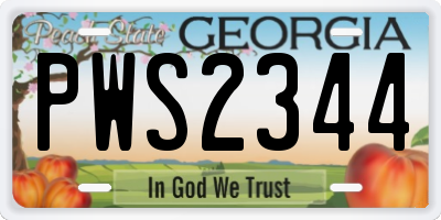 GA license plate PWS2344