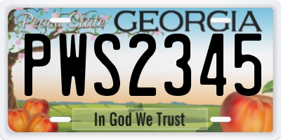 GA license plate PWS2345