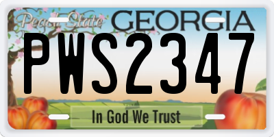 GA license plate PWS2347