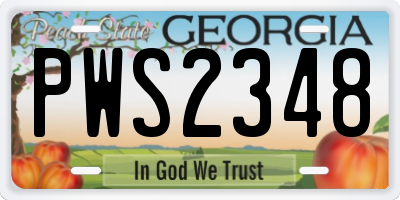 GA license plate PWS2348