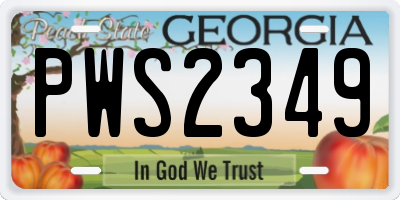 GA license plate PWS2349