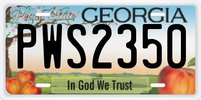 GA license plate PWS2350