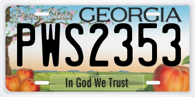 GA license plate PWS2353