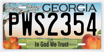 GA license plate PWS2354
