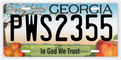 GA license plate PWS2355