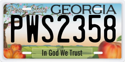 GA license plate PWS2358