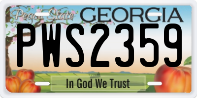 GA license plate PWS2359
