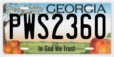 GA license plate PWS2360