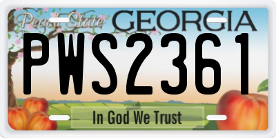 GA license plate PWS2361