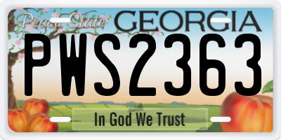 GA license plate PWS2363