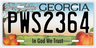 GA license plate PWS2364