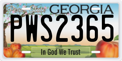 GA license plate PWS2365