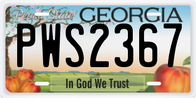 GA license plate PWS2367