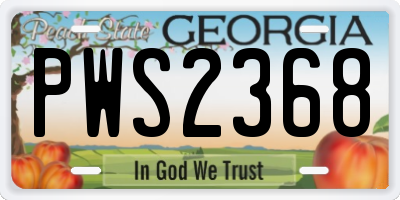GA license plate PWS2368