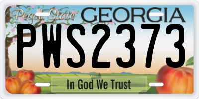 GA license plate PWS2373