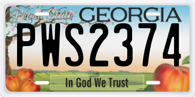 GA license plate PWS2374