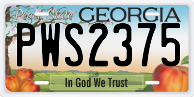 GA license plate PWS2375