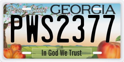 GA license plate PWS2377