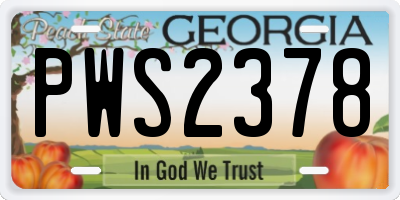 GA license plate PWS2378