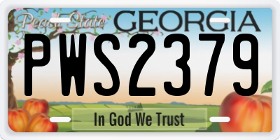 GA license plate PWS2379