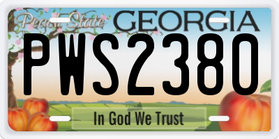 GA license plate PWS2380