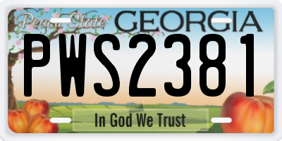 GA license plate PWS2381