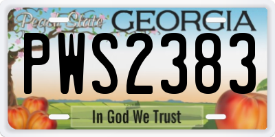 GA license plate PWS2383