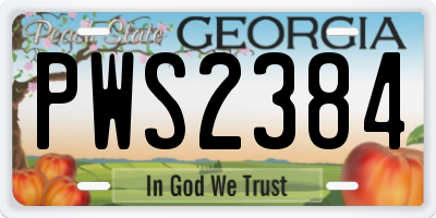 GA license plate PWS2384