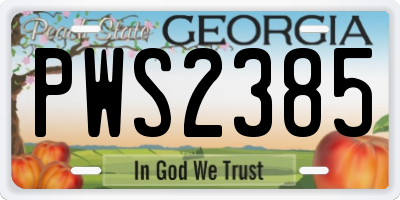 GA license plate PWS2385