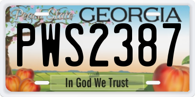 GA license plate PWS2387