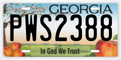 GA license plate PWS2388