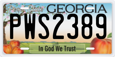 GA license plate PWS2389