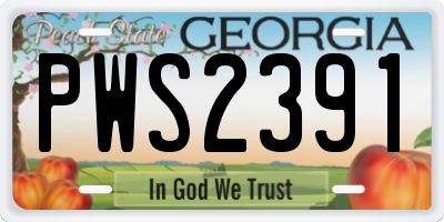 GA license plate PWS2391