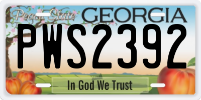 GA license plate PWS2392